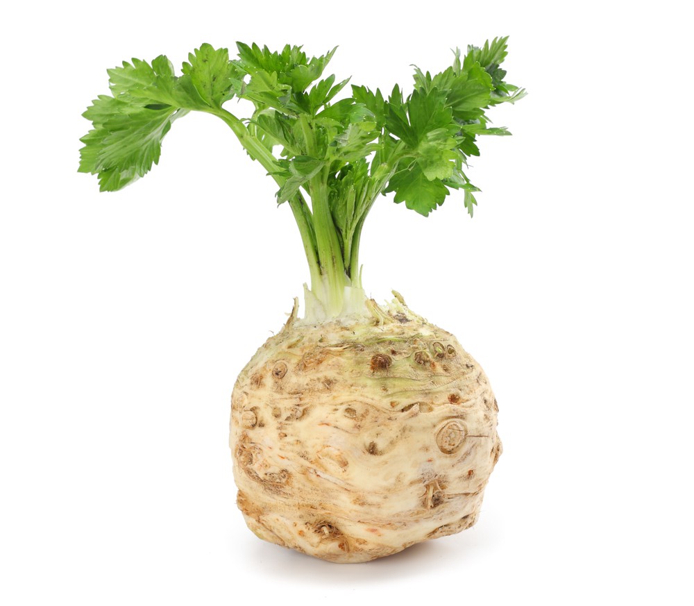 bfmazzeo Celery Root